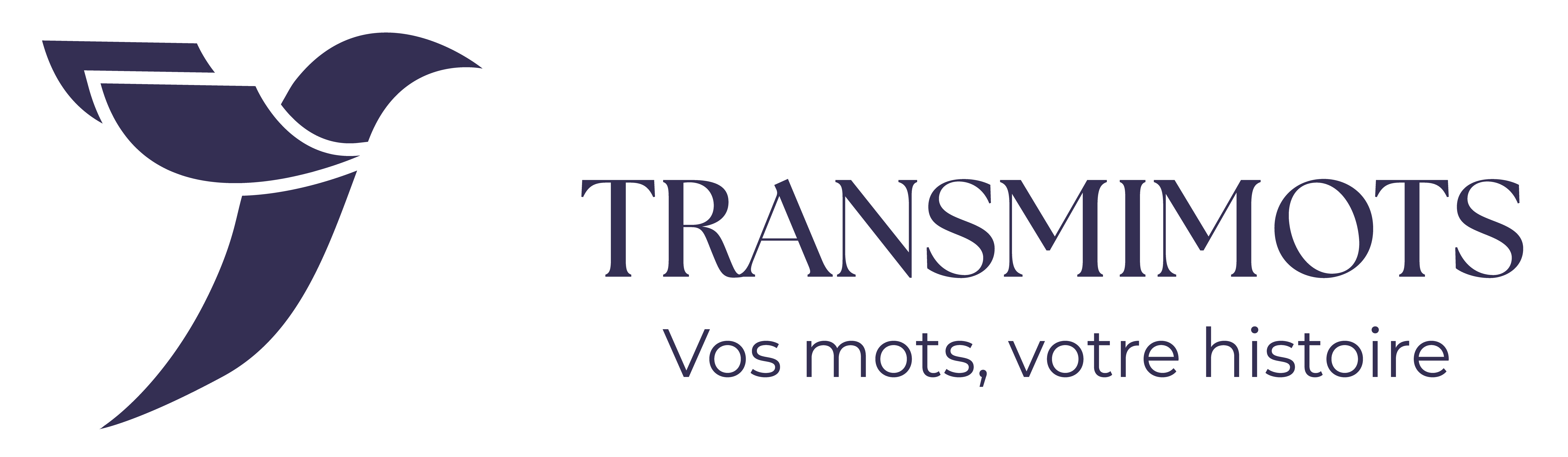 Logo Transmimots